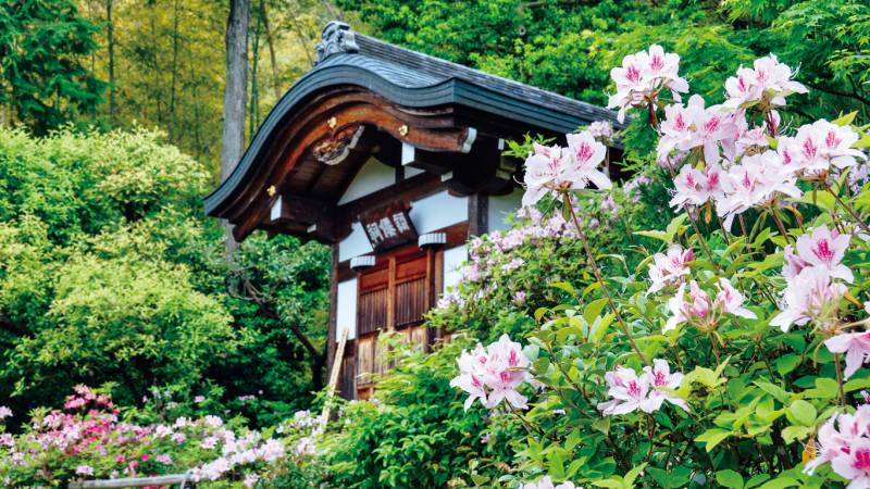 常寂光寺/Jojakko-ji