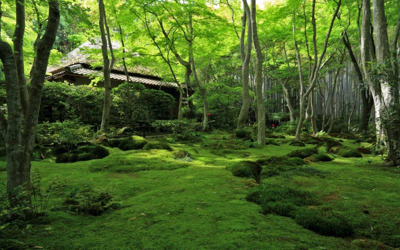 祇王寺/Giou-ji