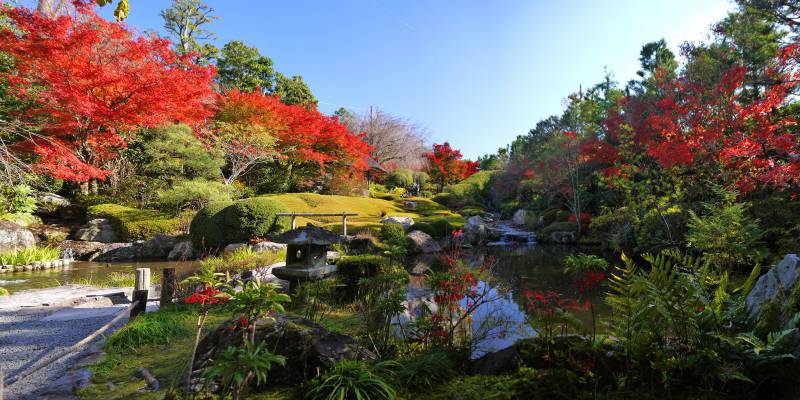 妙心寺/Myōshin-ji