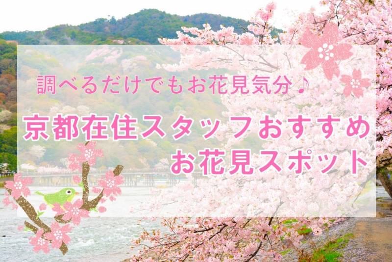 嵐山おすすめ桜スポット / SAKURA info in Arahiyama