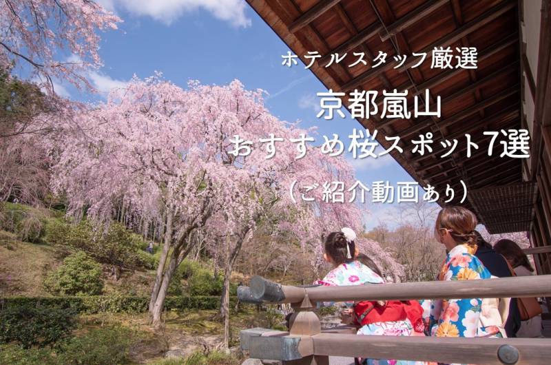 現地ホテルスタッフが厳選「嵐山桜スポット7選」// Must Visit 7 SAKURA Spots in Kyoto Arashiyama